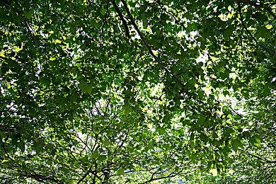 《龙之信条2》游戏新截图：巨龙嚣张 快去消灭它